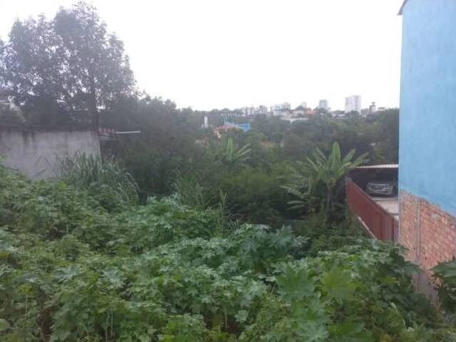 Venda em São Tomáz - Belo Horizonte