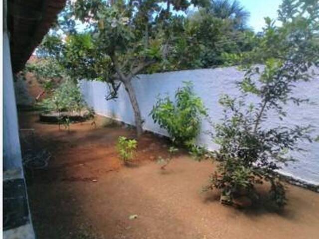 #65 - Casa para Venda em Santa Bárbara de Goiás - GO - 2