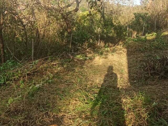 #79 - Área para Venda em Belo Horizonte - MG - 3
