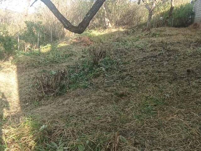 #79 - Área para Venda em Belo Horizonte - MG - 1